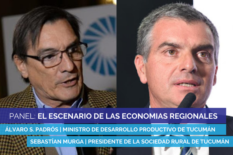 PANELES PARA LA WEB (1)