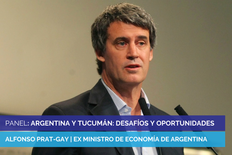 PANELES PARA LA WEB
