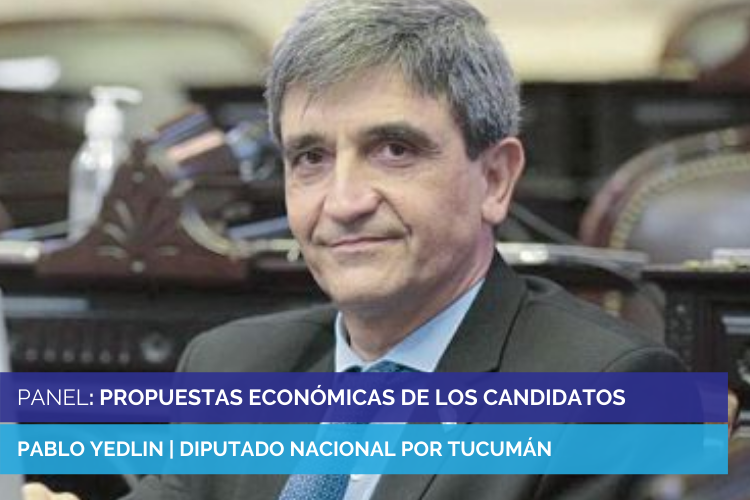 PANELES PARA LA WEB (3)