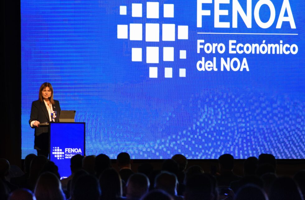 11º edición